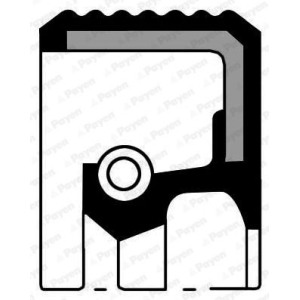 Shaft Seal, camshaft PAYEN NA5035