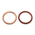 Seal Ring ELRING 813.028