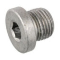 Screw Plug SWAG 10 94 6267