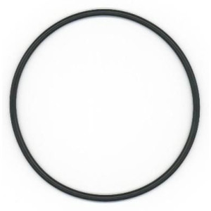 Seal Ring ELRING 493.270