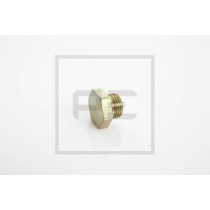Screw Plug PE Automotive 076.176-10A