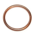 Seal Ring ELRING 813.184