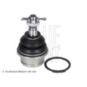 Kande-/juhtliigend BLUE PRINT ADN186114