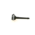 Süütepool BOSCH 0 221 604 014