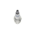 Süüteküünal BOSCH 0 241 235 754