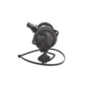 Õhumassimõõtja BOSCH 0 281 006 184