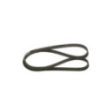 V-Ribbed Belt BOSCH 1 987 947 952
