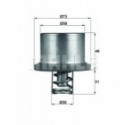 Термостат, охлаждающая жидкость BEHR THD 2 89
