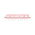 Brake Line KAMOKA 1173108