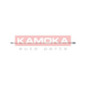 Трубопровод тормозного привода KAMOKA 1173111