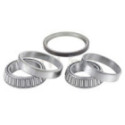 Wheel Bearing Kit SNR R141.47