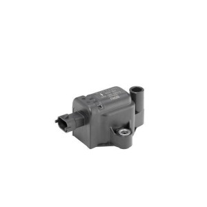 Sytytyspuola BorgWarner (BERU) ZS439