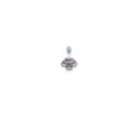 Bulb, headlight BOSCH 1 987 301 109