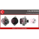 Generaator CASCO CAL30163AS