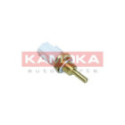 Andur,Jahutusvedeliku temp. KAMOKA 4080030