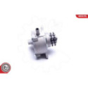 Pump,pidurisüsteem ESEN SKV 18SKV025