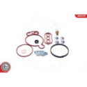 Repair Set, vacuum pump (braking system) ESEN SKV 18SKV805