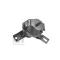 Mounting, engine TEDGUM 00441120