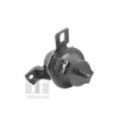 Mounting, engine TEDGUM 00441120