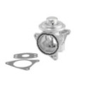 EGR Valve BorgWarner (Wahler) 7496D/1