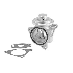 EGR Valve BorgWarner (Wahler) 7496D/1