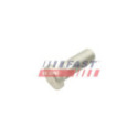 Болт для крепления колеса FAST FT21533