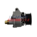 Vacuum Pump, braking system FAST FT36063