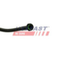Fuel Hose FAST FT39555