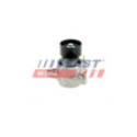 Tensioner Pulley, V-ribbed belt FAST FT44662
