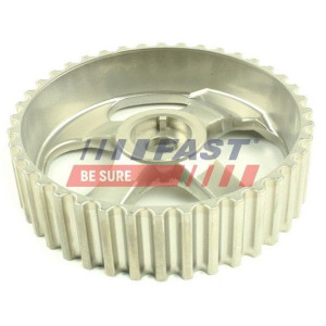 Gear, balance shaft FAST FT45613