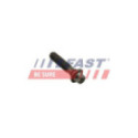 Болт шкива FAST FT45901