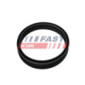 Seal, fuel sender unit FAST FT48501