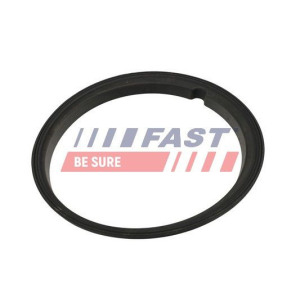 Seal, fuel sender unit FAST FT48502