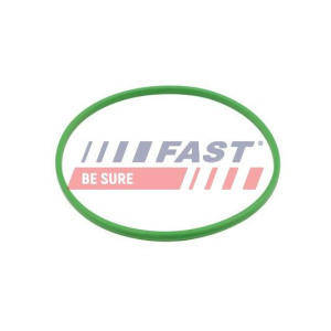 Gasket, fuel pump FAST FT48503