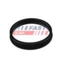 Seal, fuel sender unit FAST FT48505