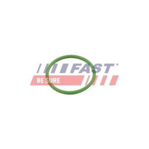 Прокладка, впуск в турбину (компрессор) FAST FT48803
