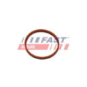 Уплотнительное кольцо, трубка нагнетаемого воздуха FAST FT48932