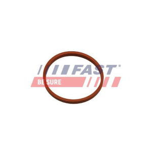 Уплотнительное кольцо, трубка нагнетаемого воздуха FAST FT48932