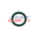 Seal Ring, charge air hose FAST FT48933