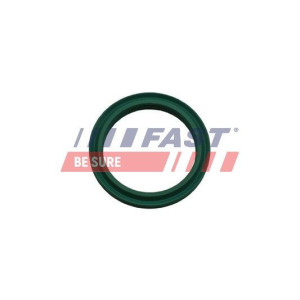 Seal Ring, charge air hose FAST FT48933