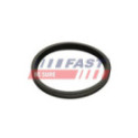 Уплотнительное кольцо, трубка нагнетаемого воздуха FAST FT48947