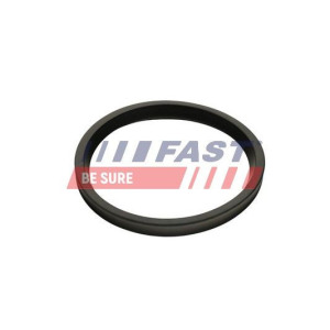Уплотнительное кольцо, трубка нагнетаемого воздуха FAST FT48947