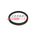 Уплотнительное кольцо, трубка нагнетаемого воздуха FAST FT48947