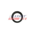 Seal Ring, charge air hose FAST FT48953