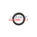 Rõngastihend,õhulaadevoolik FAST FT48953