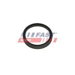 Tiivisterengas, ahtoilmaletku FAST FT48956
