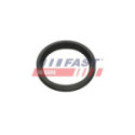 Уплотнительное кольцо, трубка нагнетаемого воздуха FAST FT48956