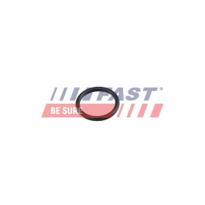 Прокладка, трубопровод охлаждаю FAST FT49856