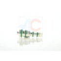Control Valve, air conditioning compressor ACAUTO AC-02DL02.G