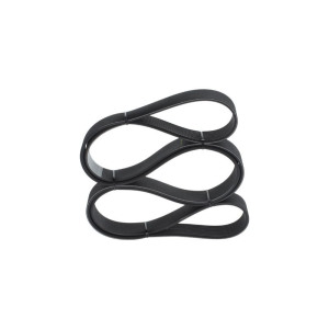 V-Ribbed Belt BOSCH 1 987 947 081